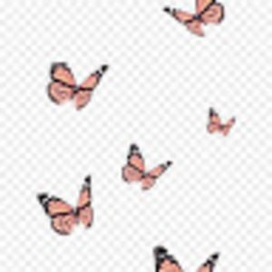 Meet your Posher, Autumn_